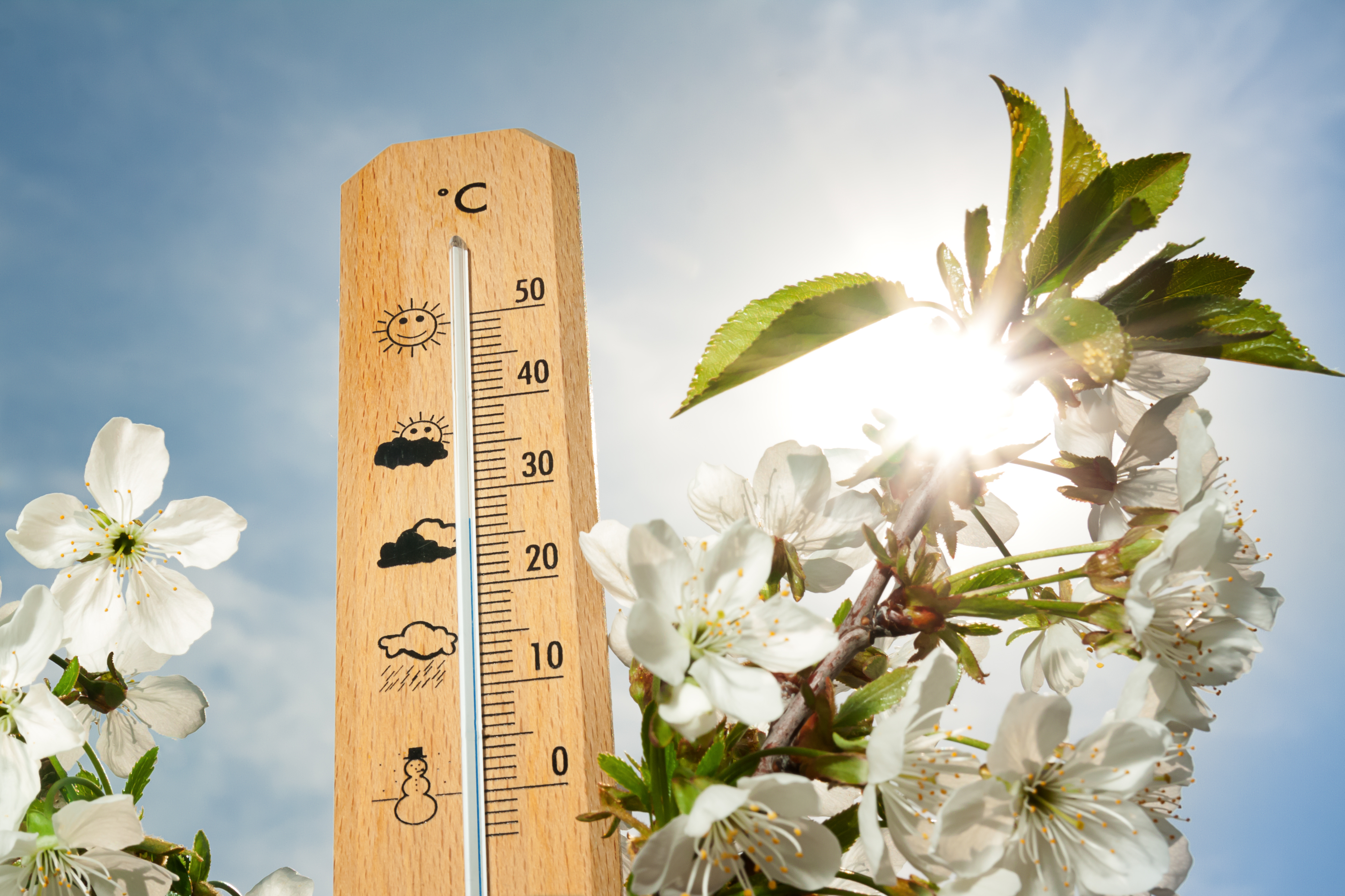 Prognoza meteo. Cum va fi vremea în prima săptămână de primăvară