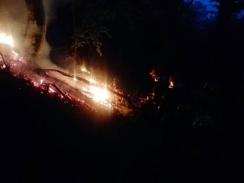 incendiu litiera de padure (1)