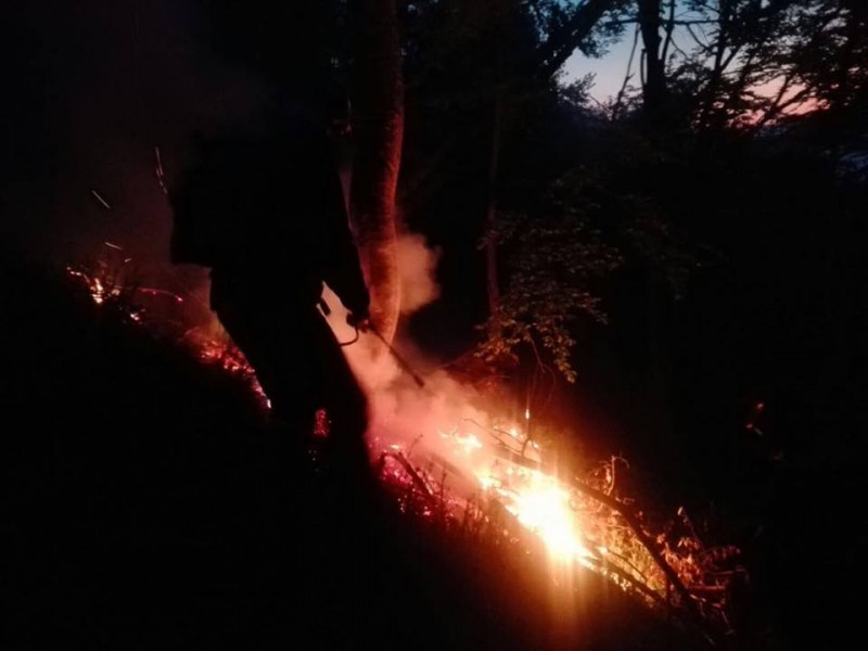 incendiu litiera de padure (13)