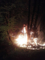 incendiu litiera de padure (6)