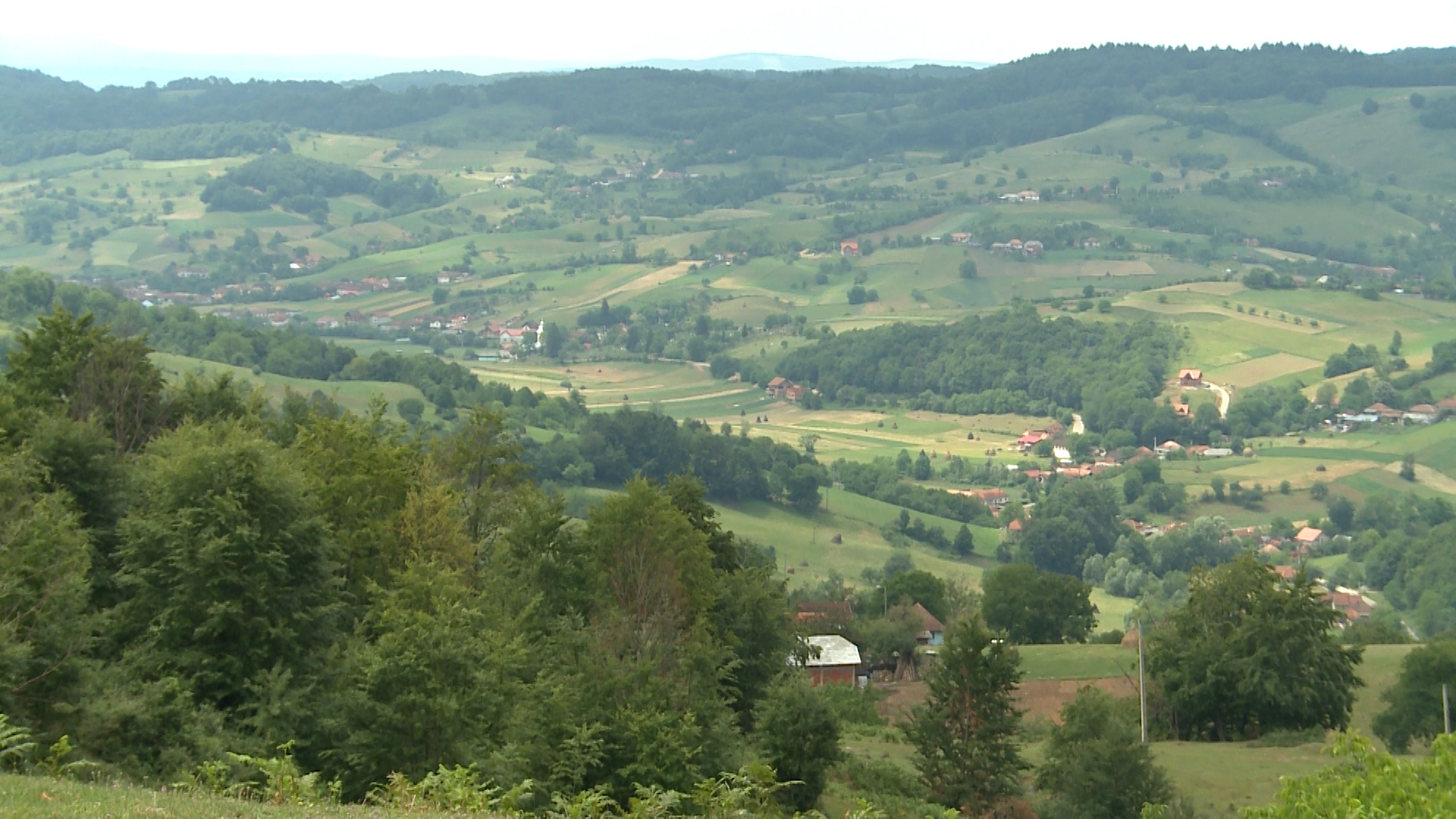 Rosia Bihor