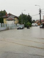 inundatie pasteur