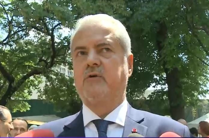 Adrian Nastase, critici la adresa lui Liviu Dragnea