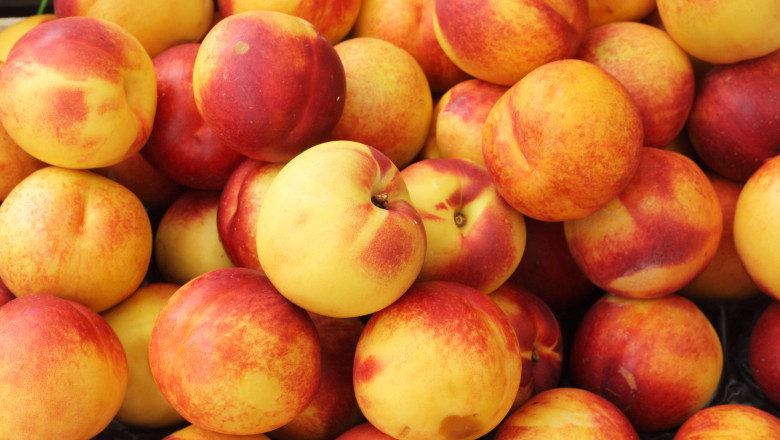 nectarine_shutterstock_582617749