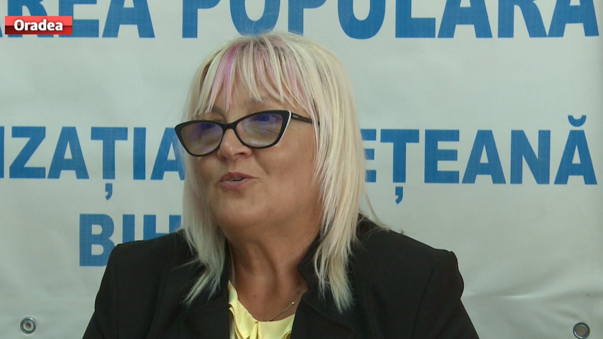 Senator de Maramures, seful PMP Bihor