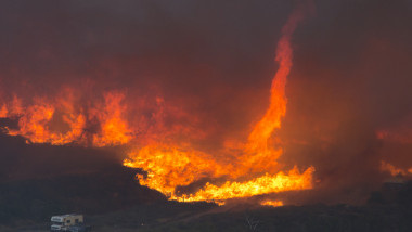 incendiu vegetatie california
