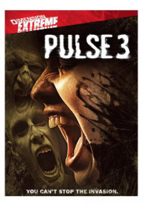 pulse-3