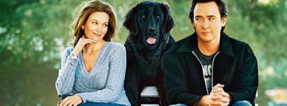 must-love-dogs-968368l