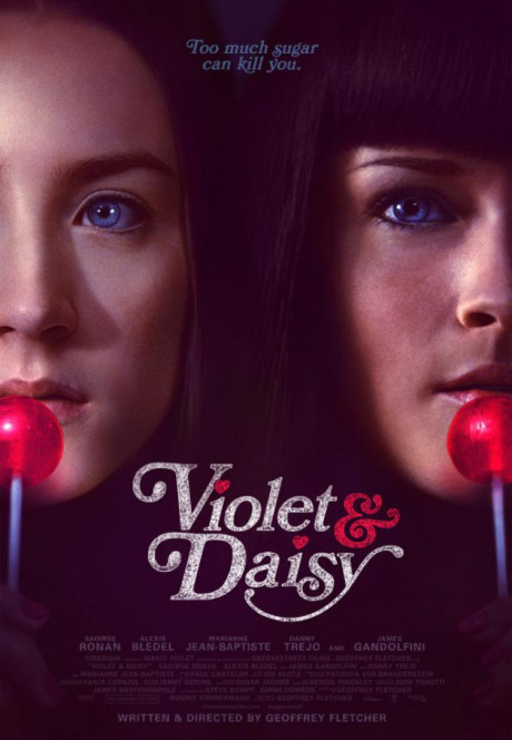 violet-daisy-692049l