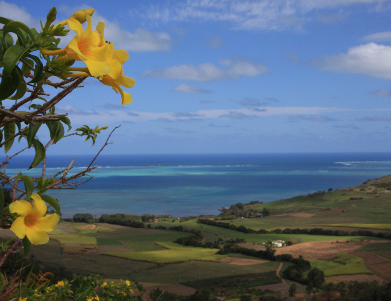 Mauritius.jpg