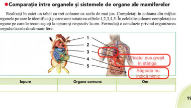 image-2018-09-3-22683074-41-organele-omului-indicate-gresit-manualul-biologie-clasa