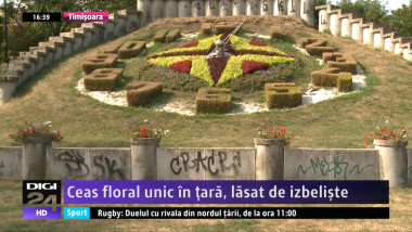 ceas floal