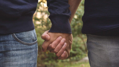 doi barbati se tin de mana, casatorii gay homosexuali_fb amb suedia