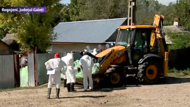 Veterinarii au venit să sacrifice 85 de animale, după ce a fost confirmat virusul pestei porcine în satul din Galati