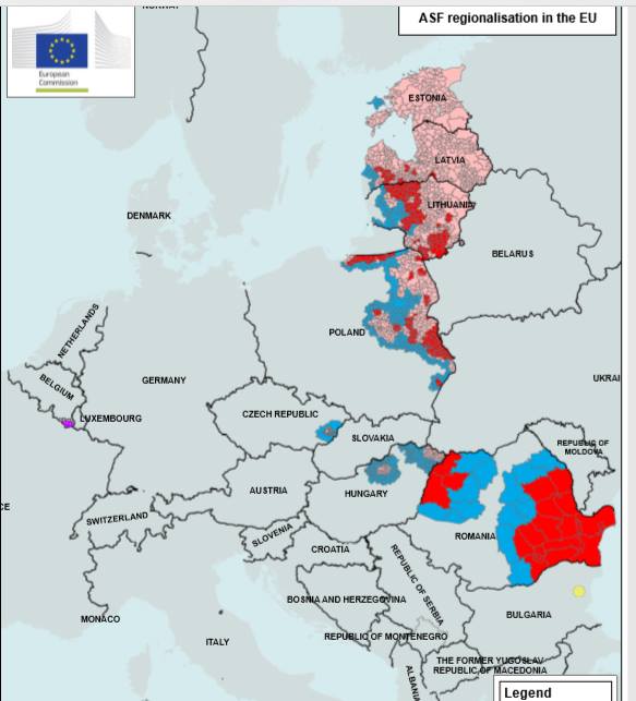 O harta a Europei care ilustreaza proporţiile atinse de pesta porcina in Romania