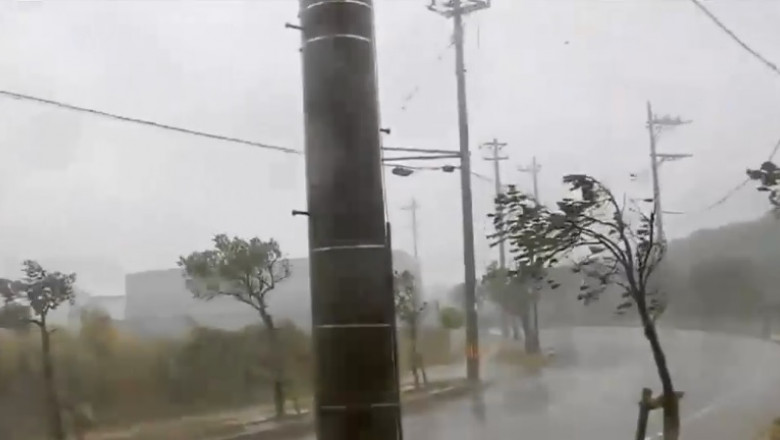 taifun trami