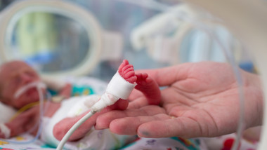 nou nascut incubator bebelus spital shutterstock_486542008