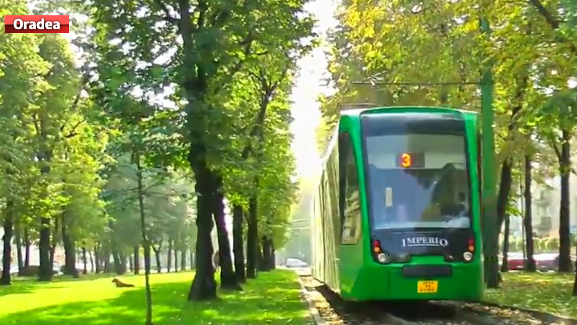 Licitatie pentru tramvaie noi in Bucuresti