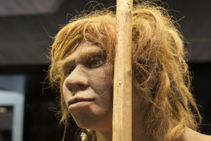 omul de Neanderthal