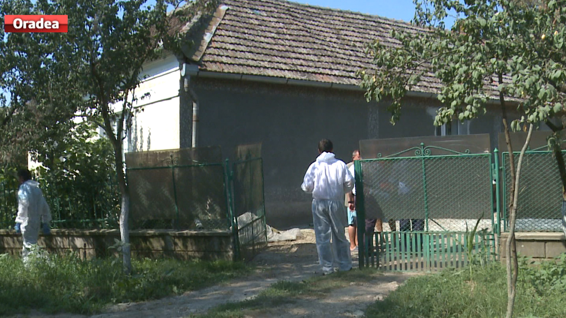Un liberal acuza lipsa masurilor anti-pesta porcina in Bihor