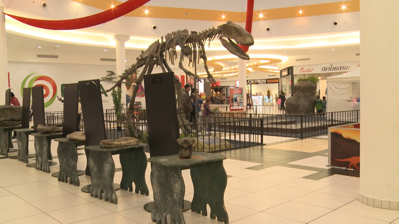 dinozauri la mall