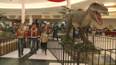 dinozauri la mall5