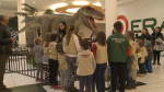 dinozauri la mall4