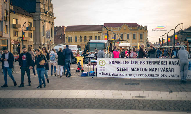 targ valea ierului 2018 (1)