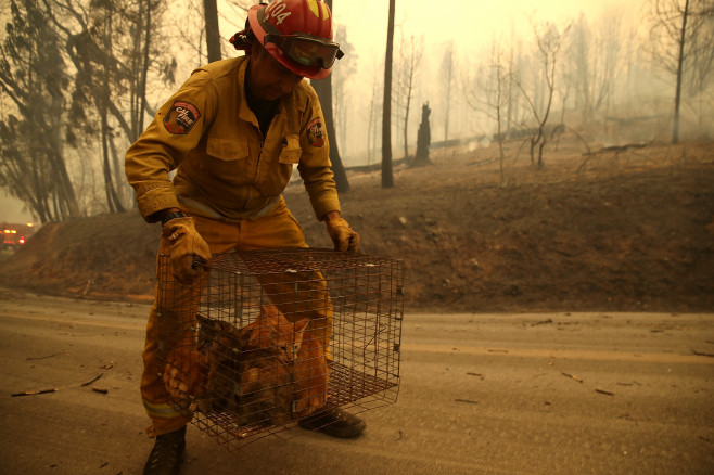 Rapidly-Spreading Wildfire In California's Butte County Prompts Evacuations