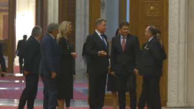 iohannis parlament