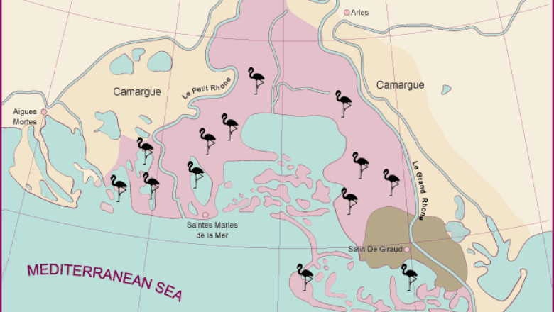 camargue