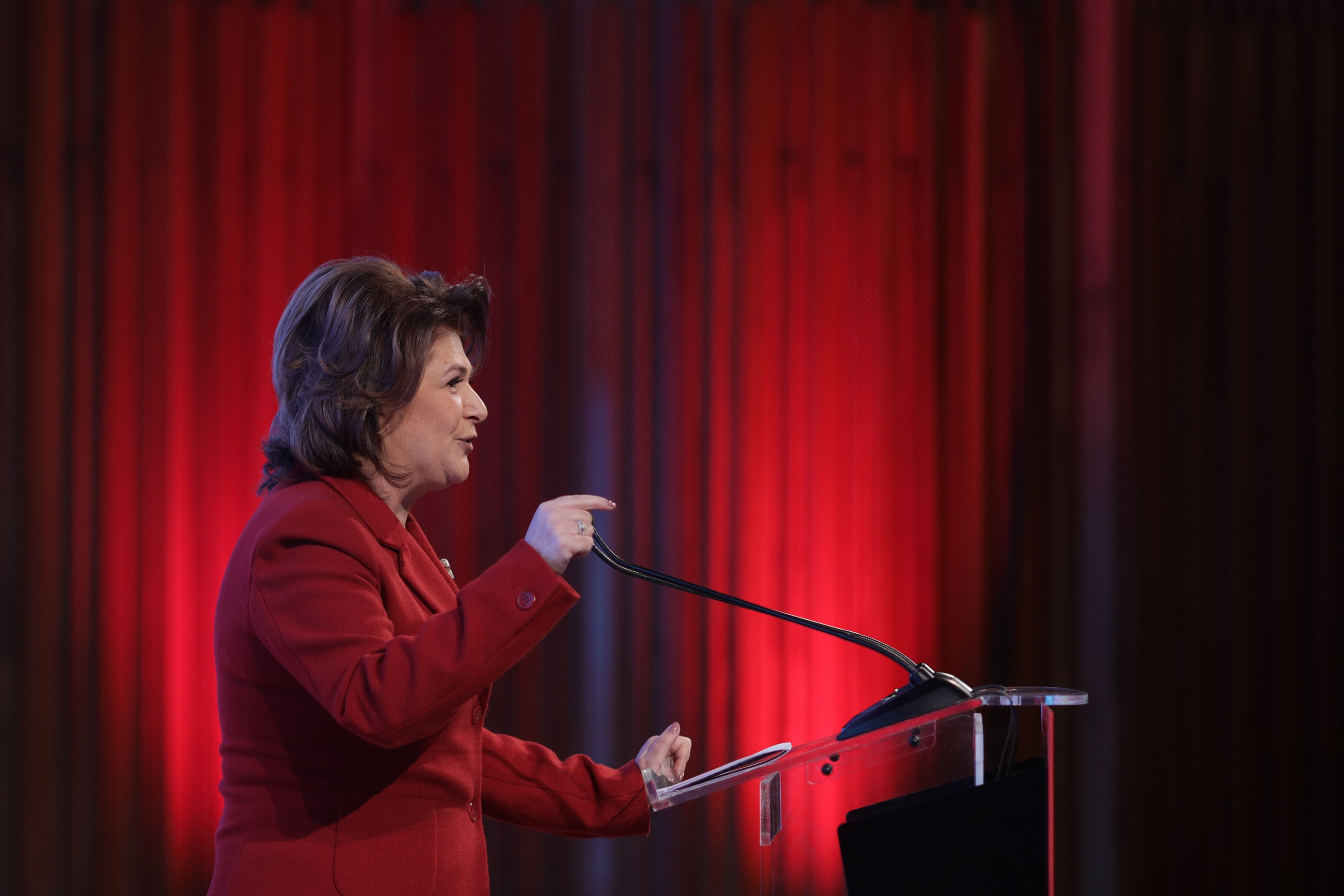 rovana plumb sedinta psd inquam ganea