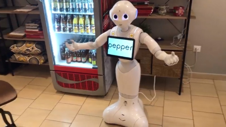 robotul pepper