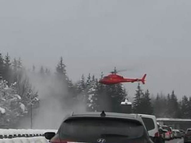 VIDEO. Zăpadă de aproape 5 metri în Germania. Copacii, curățați cu elicopterele