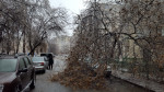 Copac cazut masini Str Motoc Sect 5 260119 (4)