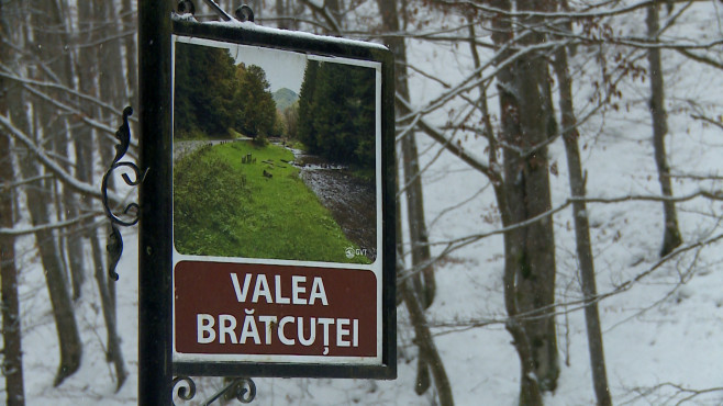 Valea Bratcutei