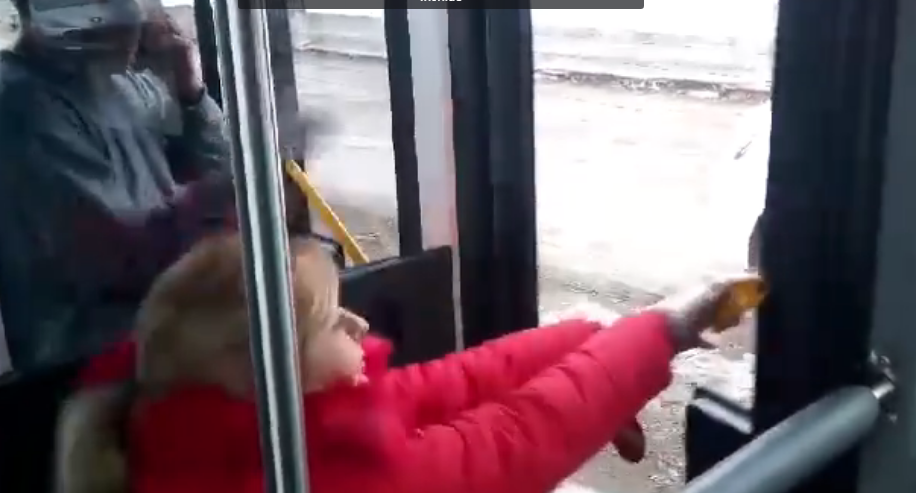VIDEO. Calatori captivi in noile autobuze ale STB