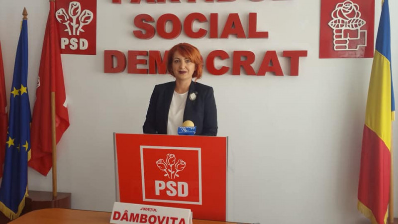 Oana Silvia Vladuca ex-PSD_2