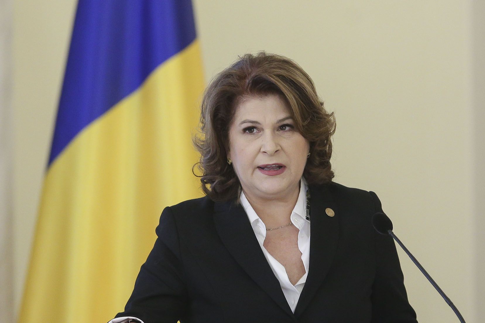 Rovana Plumb, aleasa vicepreşedinte al grupului socialiştilor din Parlamentul European