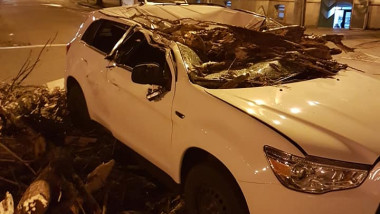 masina copac cazut Oradea