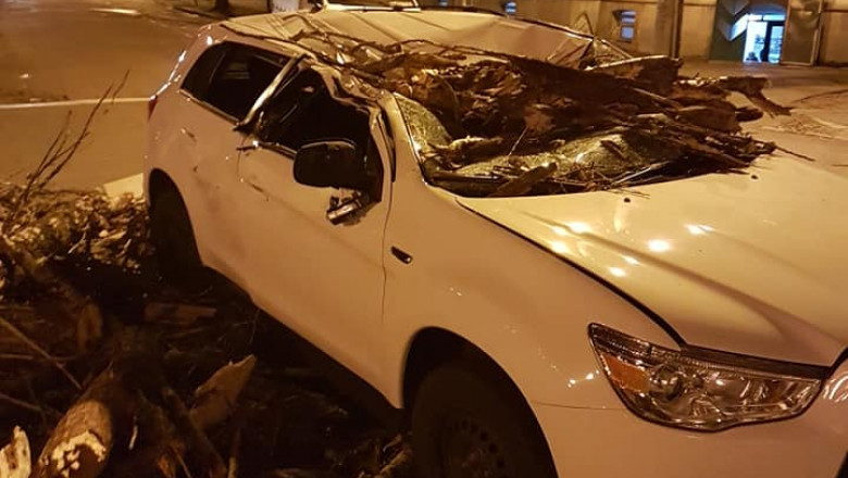 masina copac cazut Oradea