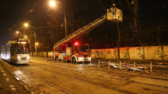 copaci-bucuresti-2
