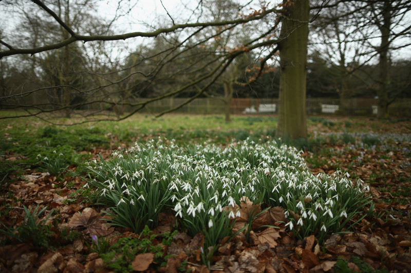 The First Day Of Spring At Kew Gardens