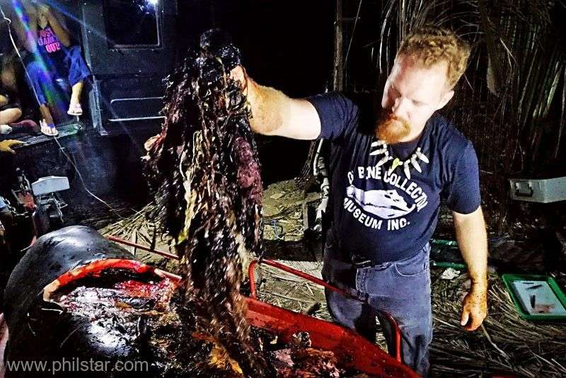 Biologii marini au fost socati. Ce au gasit in stomacul unei balene moarte, dupa ce a esuat pe plaja