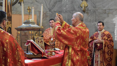 virgil Bercea episcop Oradea (1)