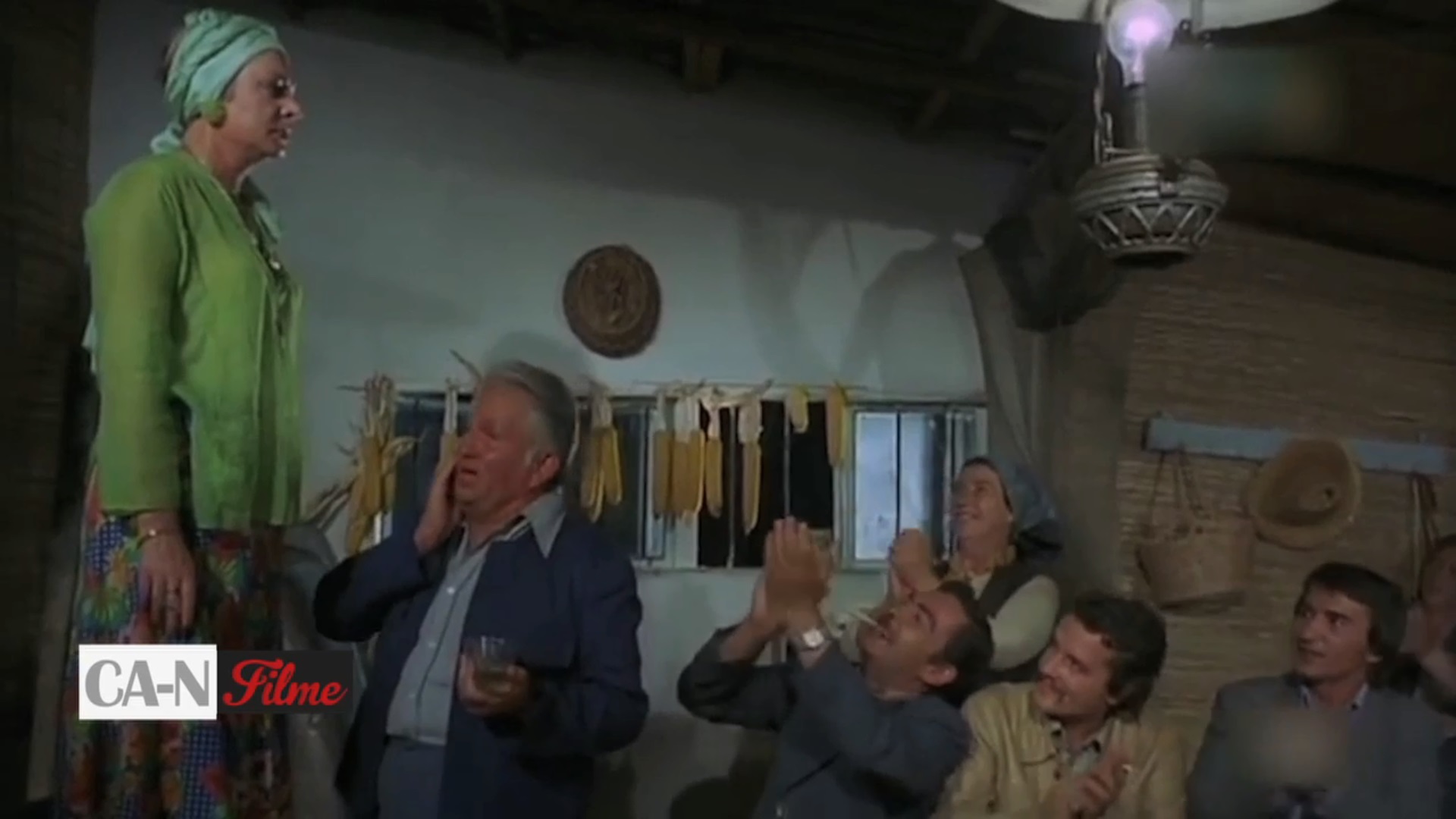 Ca-n filme. Ileana Stana Ionescu, sase decenii dedicate teatrului si filmului