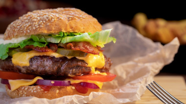 hamburger fast food