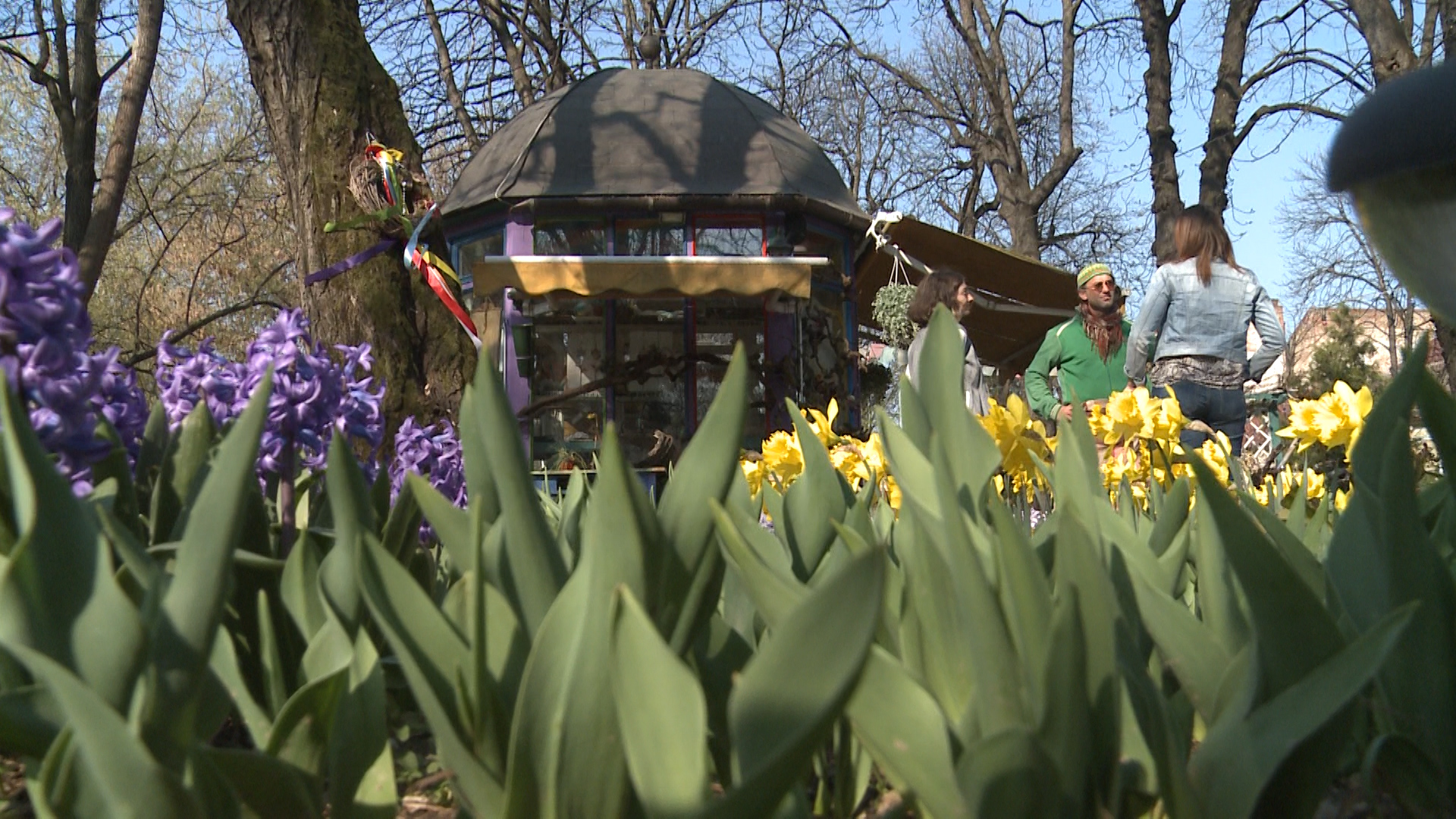 Parcul celor 10.000 de flori din centrul municipiului Oradea