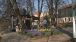 flori parc Oradea1