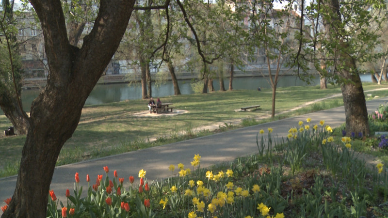 flori parc Oradea8